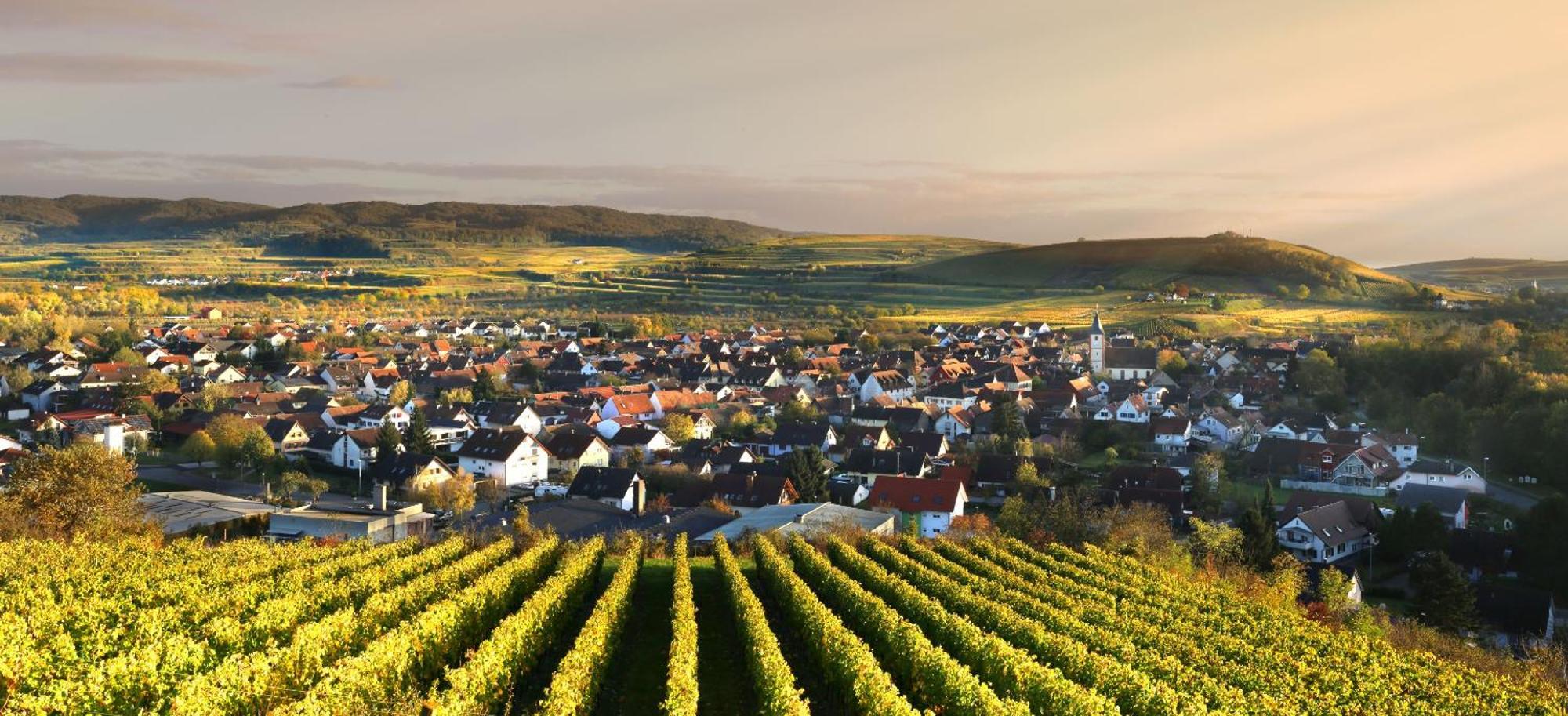 Ferienhof Schloessle ساسباخ آم كايزرشتول المظهر الخارجي الصورة